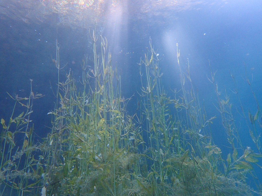 Portfolio Images